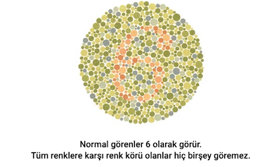 gorsel-16