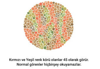 gorsel-7