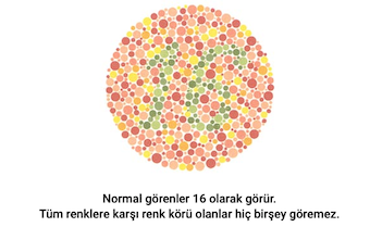 gorsel-4