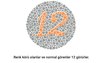 gorsel-1