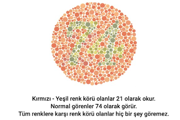 gorsel-15