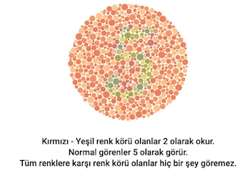 gorsel-12