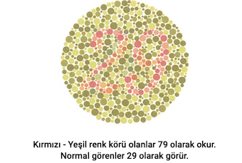 gorsel-11