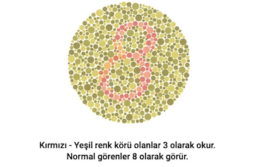 gorsel-10