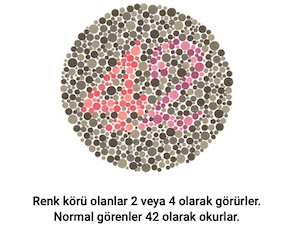 gorsel-9