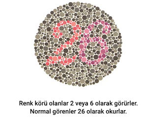 gorsel-8