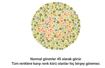 gorsel-17